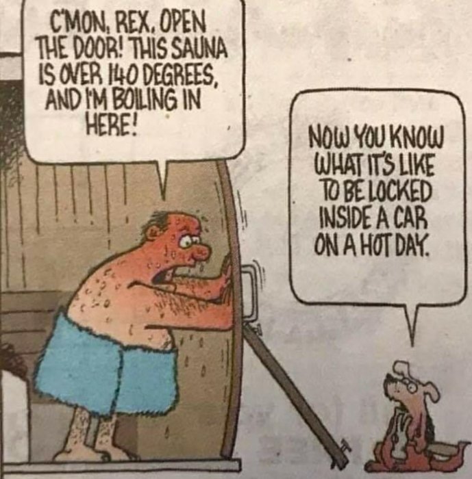 Seriebild: Person i bastu ber om hjälp, hund jämför med inlåst bil på varm dag.