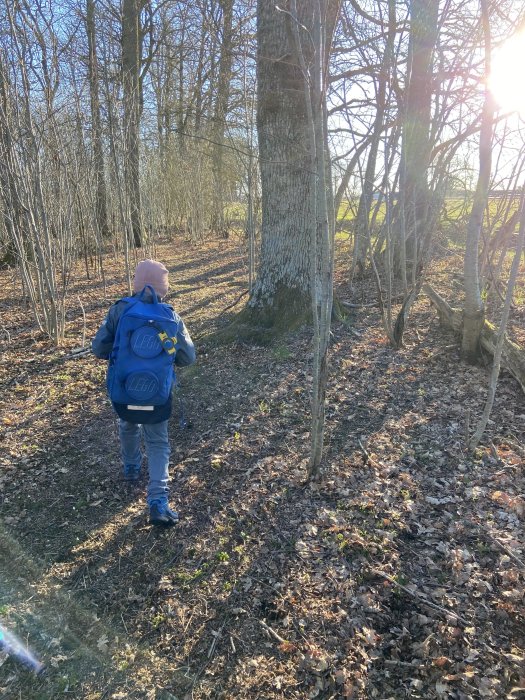 Barn med ryggsäck går i solig, skogklädd miljö med löv på marken.