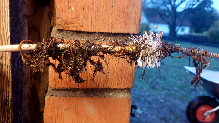 Förstörda grillborstborstar fastnat på kabel, smutsiga, sönderslitna, hängande vid tegelvägg, närbild.