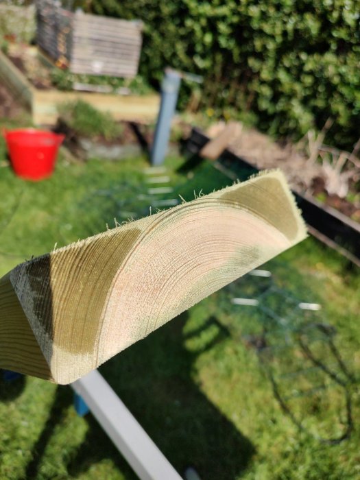Ett nyligen sågat trästycke i förgrunden med en suddig trädgård i bakgrunden.