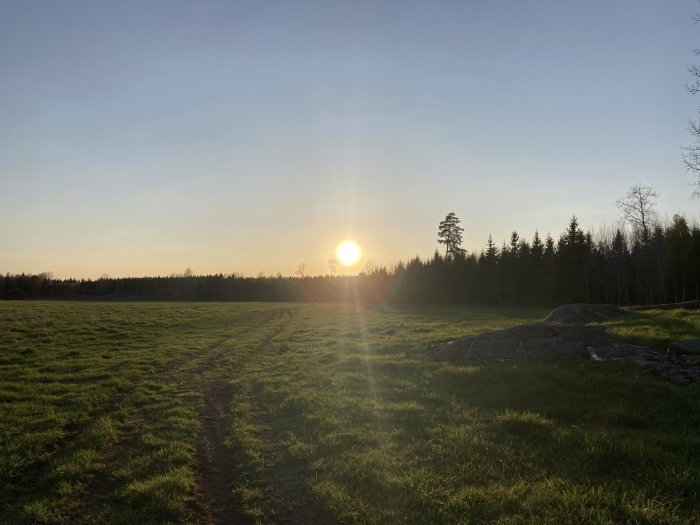 Solnedgång över en äng, skog i bakgrunden, markerad stig, sten, lugnt och naturskönt landskap.