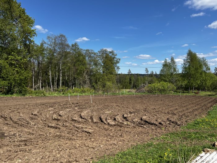 Ett nyplöjt fält med jordrader, omgivet av grönskande träd under en klarblå himmel.