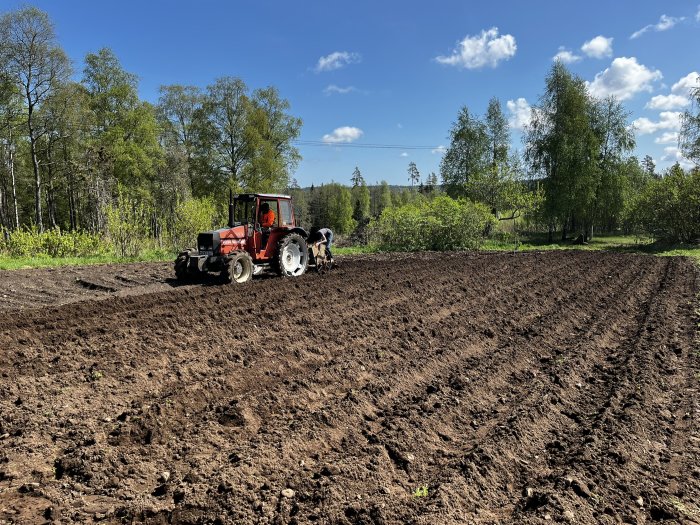 Traktor plöjer jordbruksmark; solig dag, gröna träd, klar himmel, vår eller sommar, lantlig miljö.