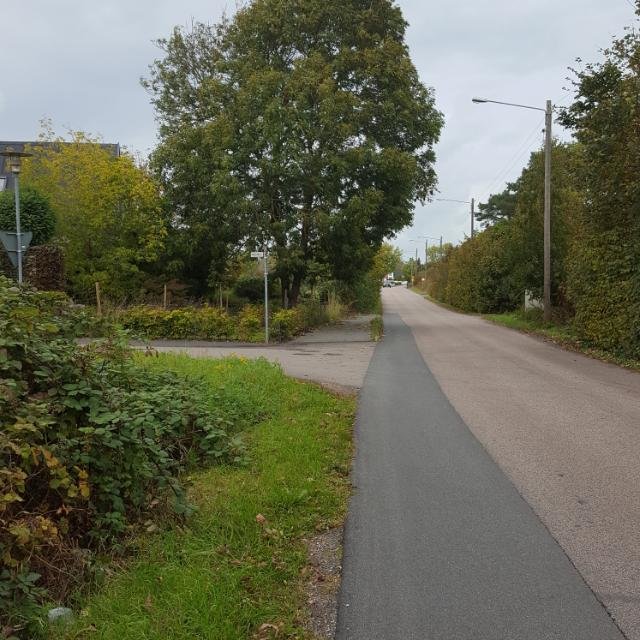 Asfalterad väg, träd, molnig himmel, gatlyktor, inga personer, lugnt bostadsområde, dagtid, sidogrönområde, fotovinkel rakt fram.