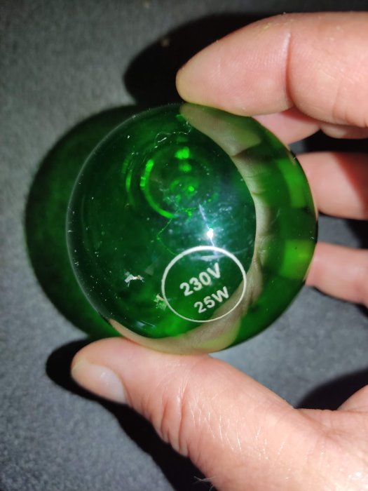 En hand håller en grön glödlampa med text "230V 25W". Reflektion och genomskinlighet syns.