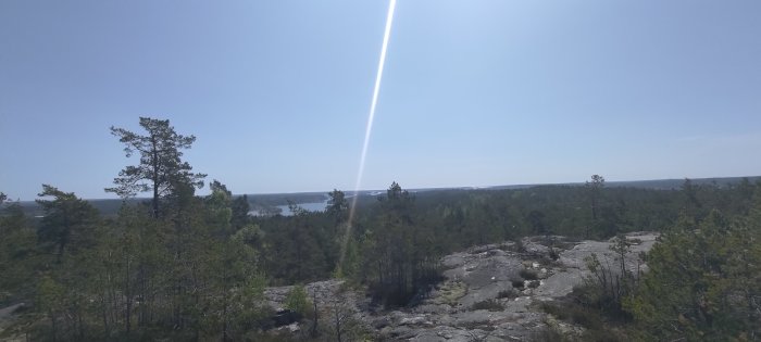 Skogklädd karga klippor, kustlandskap, blå himmel, solens strålar skapar linsreflektion. Ljus, natur, fridfullt, vidsträckt utsikt.