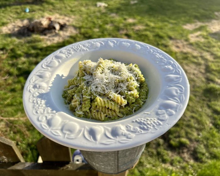 Ett fat med pasta och pesto toppad med riven ost utomhus med suddig naturbakgrund.