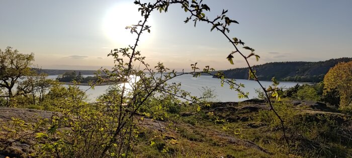 Solnedgång över sjö, motljus, trädgrenar i förgrunden, klippor, naturskönt, lugnt, gröna lövverk.