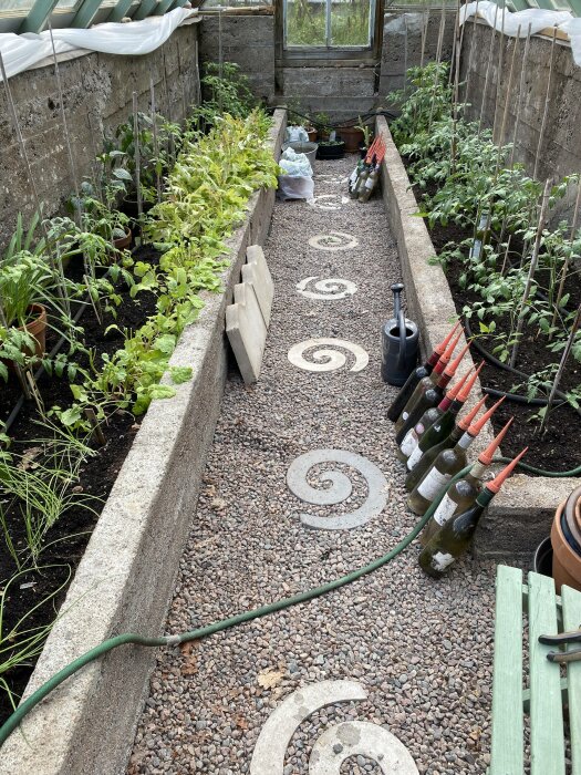 Växthus med grönsaksodlingar, spiralformade stenplattor på gångväg, vattenkanna, gröna flaskor och bevattningsslang.