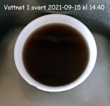 Vitt kärl med mörkt vatten. Står på yta. Datum och tid syns. Verkar vara experiment eller prov.