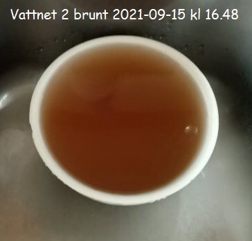 En vit skål med brunaktigt vatten, fotograferad i ett diskho, tidsstämplat "2021-09-15 kl 16.48".