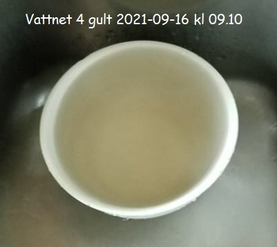 En skål med grumligt vatten, datum och tid stämplat, ligger i en diskho.
