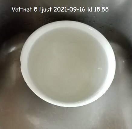 En vit skål med vatten, placerad i ett rostfritt ståldiskho, fotograferad ovanifrån med tidstämpel.