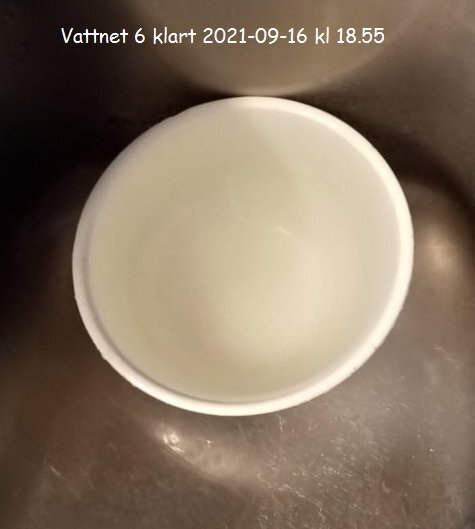 Vit skål med vätska, text: "Vattnet 6 klart 2021-09-16 kl 18.55", rostfritt underlag.