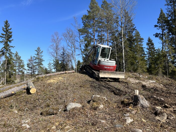 En grävmaskin i skogsmiljö, nyligen avverkade träd, soligt väder, blå himmel.