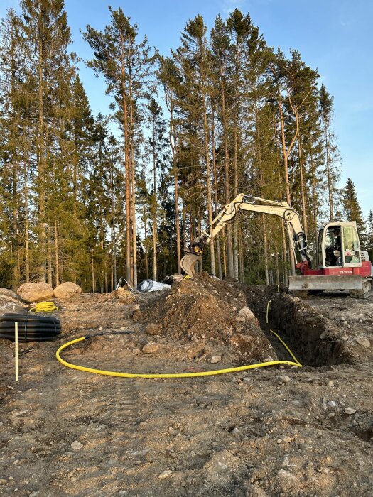 Grävmaskin vid skogsröjning, gräver dike, gul kabel synlig, jordhögar, stenar, tydlig skogsbakgrund, eftermiddagssol.