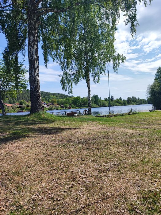 Solig dag, sjöutsikt, gröna lövträd, brygga, avkopplande natur, sommar, klar himmel, gräs, utomhus, landskap.