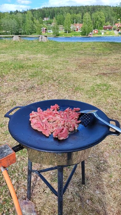 Stekpanna utomhus med kött, blåbär, naturbakgrund, vatten, hus, träd, gräs och blå himmel.