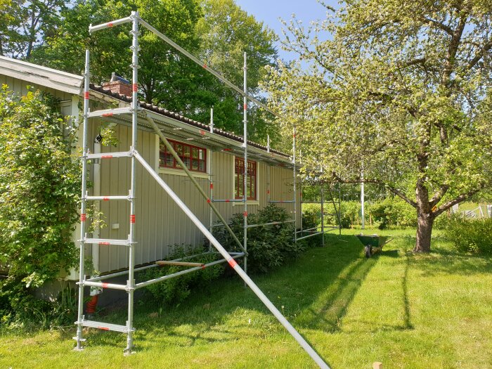 Renovering, byggställning vid gult hus, grönt gräs, träd, soligt, lugnt bostadsområde.