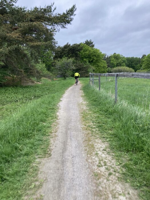 Grusväg, person cyklar, grönt landskap, träd, molnig himmel, gult plagg.