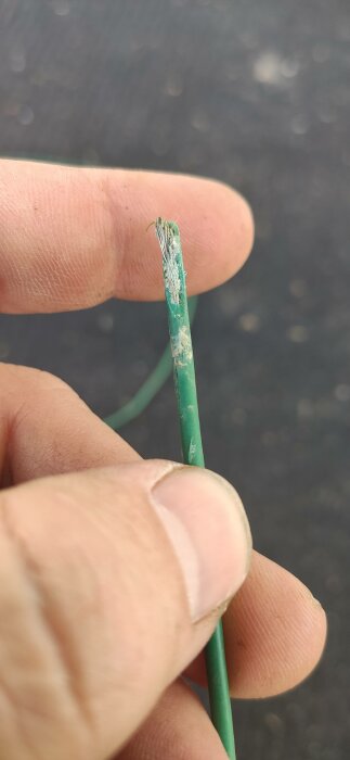 En hand håller en avskalad grön kabel med synliga koppartrådar. Slitage syns. Risk för elektrisk fara.