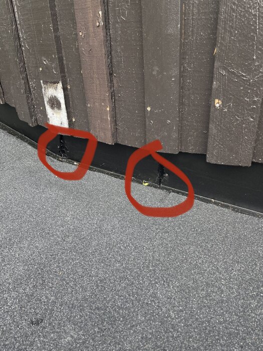 Trästaket mot asfaltsgrund, två markerade punkter med röda cirklar, tecken på eventuellt skadedjur eller slitage.