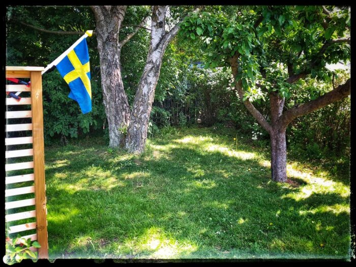 Svensk flagga, soligt grönområde, träd, randigt vindskydd, sommardag, natur, trivsam utomhusmiljö.