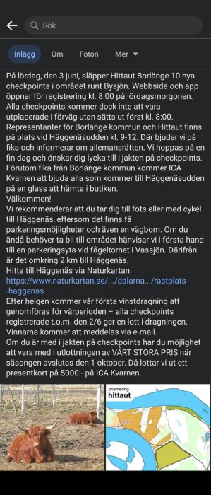 Skärmdump av en text om utomhusaktivitet, två kor i hage, karta med waypoints.