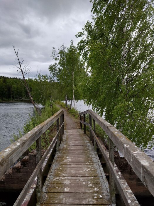 En träbro leder över vattnet, flankerad av gröna träd och gråmolnig himmel ovanför.