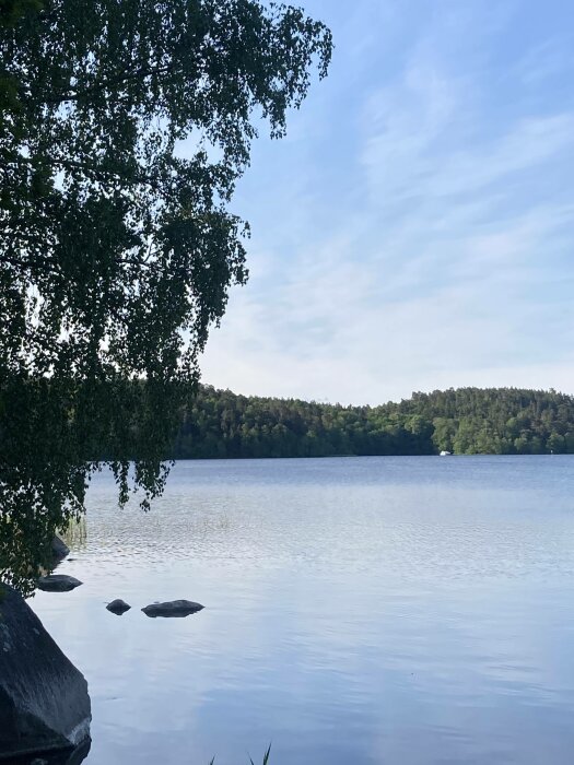 Ett lugnt vattenlandskap med träd, stenar och skog i bakgrunden under en blå himmel.