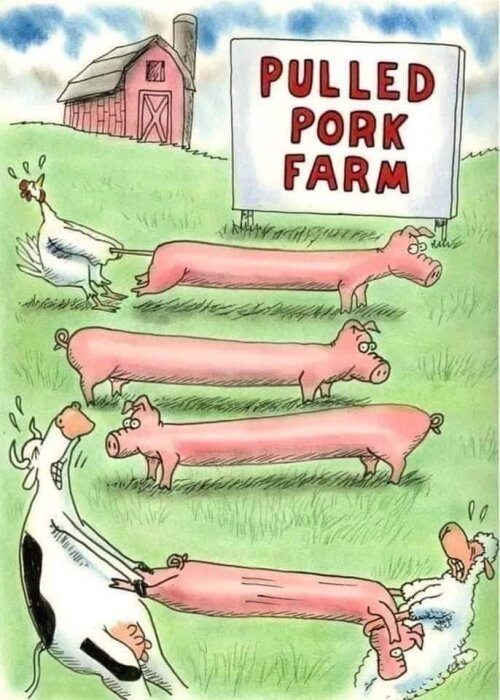 Illustration: kor stretar för att "dra" grisar nära en "Pulled Pork Farm"-skylt. Humoristisk ordlek, lantgårdstema.