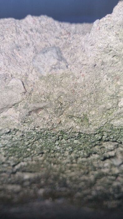 Närbild på texturerad yta, troligen sten eller betong, med mossa eller lav, oskarp bakgrund.