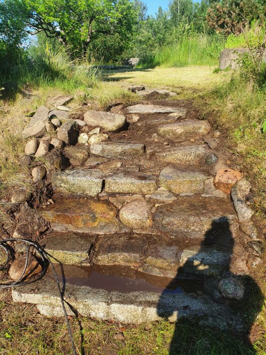 Gammal stentrappa med vattenpöl, grönska, skugga av en person som fotograferar, och en haveslang.