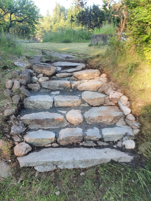 Gammal stenlagd trappa i grönskande område under solnedgång eller soluppgång. Ojämn och sliten med gräs runtomkring.