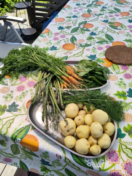 Färsk skörd av grönsaker på ett mönstrat bord i soligt utomhus: morötter, sparris, potatis och spenat.