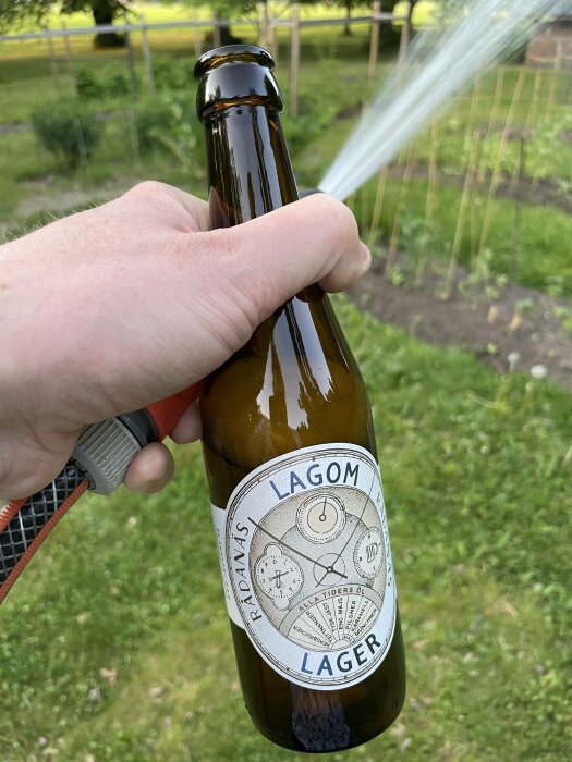 En hand håller en ölflaska märkt "LAGOM Lager" mot en trädgårdsslang som sprutar vatten.