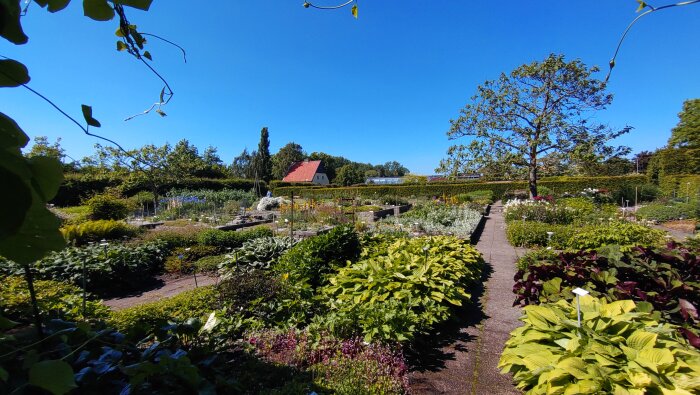 Trädgård med blommor, växter, stigar, rött takhus under blå himmel på solig dag.