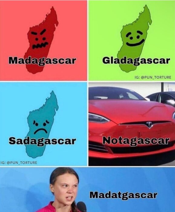 Humoristisk bild, lek med ord baserat på Madagaskar: Glädje, sorg, Tesla, ilska.