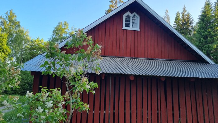 Röd stuga, vita fönster, plåttak, gröna träd, ljusblå himmel, sommar.