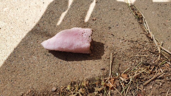 Rosa föremål på marken, skuggor från räcken, småsten och torra växtdelar syns.