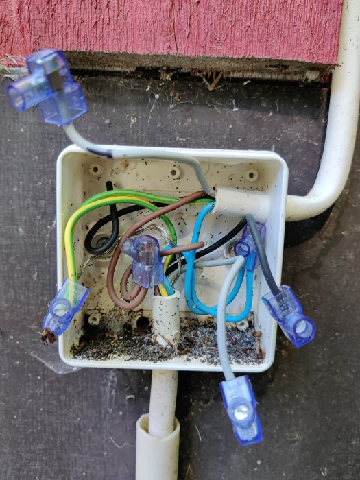 En öppen elektrisk kopplingslåda med trådar och kabelskor, några skruvade, mot en vägg och ledning. Smuts och spindelnät syns.