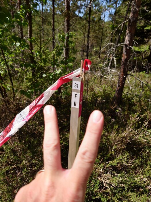 En handbildande fredstecken framför en skogsmarkering med nummer 31 och en röd-vit bandspärr.