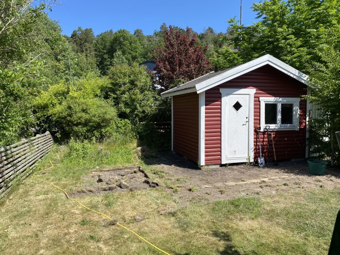 Röd stuga, grönskande sommarträdgård, blå himmel, gräsmatta, igenväxt hörn, verktyg, staket.