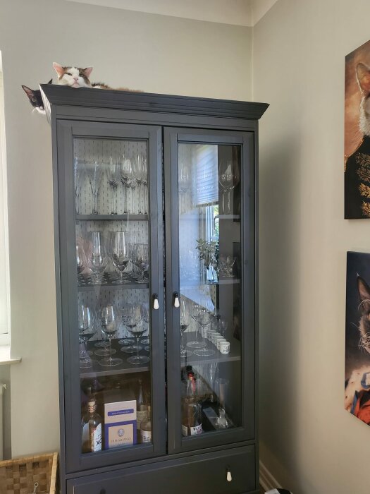 Två katter gömmer sig ovanpå ett grått vitrinskåp innehållande glas och flaskor. Luftigt, hemtrevligt rum.