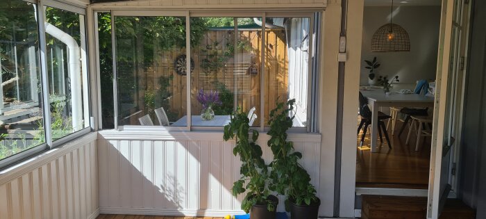 Inglasad veranda med växter, matsal insyn, trägolv, ljus interiör, dagtid, soligt, hemtrevlig atmosfär.