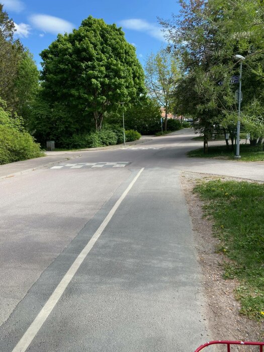 En gata med träd och gräsrabatter en solig dag, viss del av ett cykelställ i förgrunden.