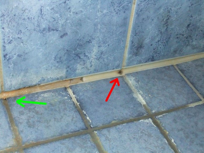 DSCF1357.jpg