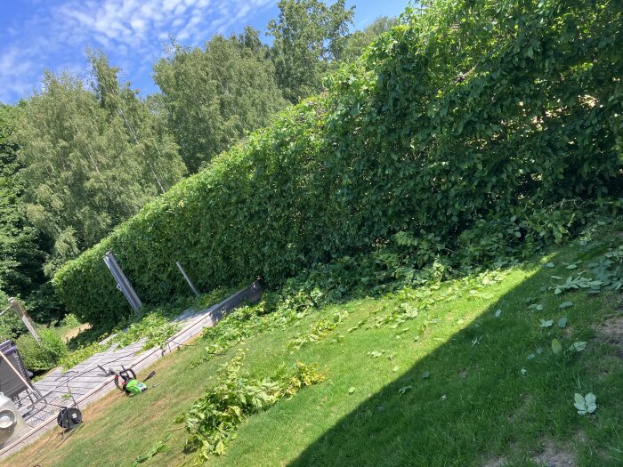 Ett soligt trädgårdslandskap med grönt gräs, beskärda häckar och trädgårdsutrustning på marken.