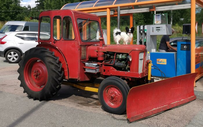 En röd traktor med snöblad och hund åker bakom i en vagn vid bensinstation.