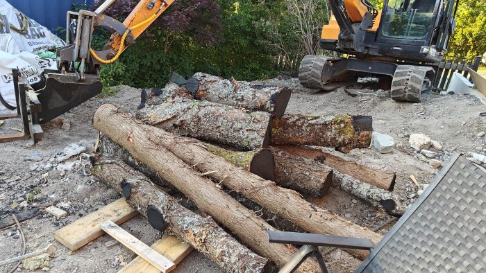 Trädstammar, grävmaskin, byggavfall och trädgård i bakgrunden; tecken på arbete utomhus.